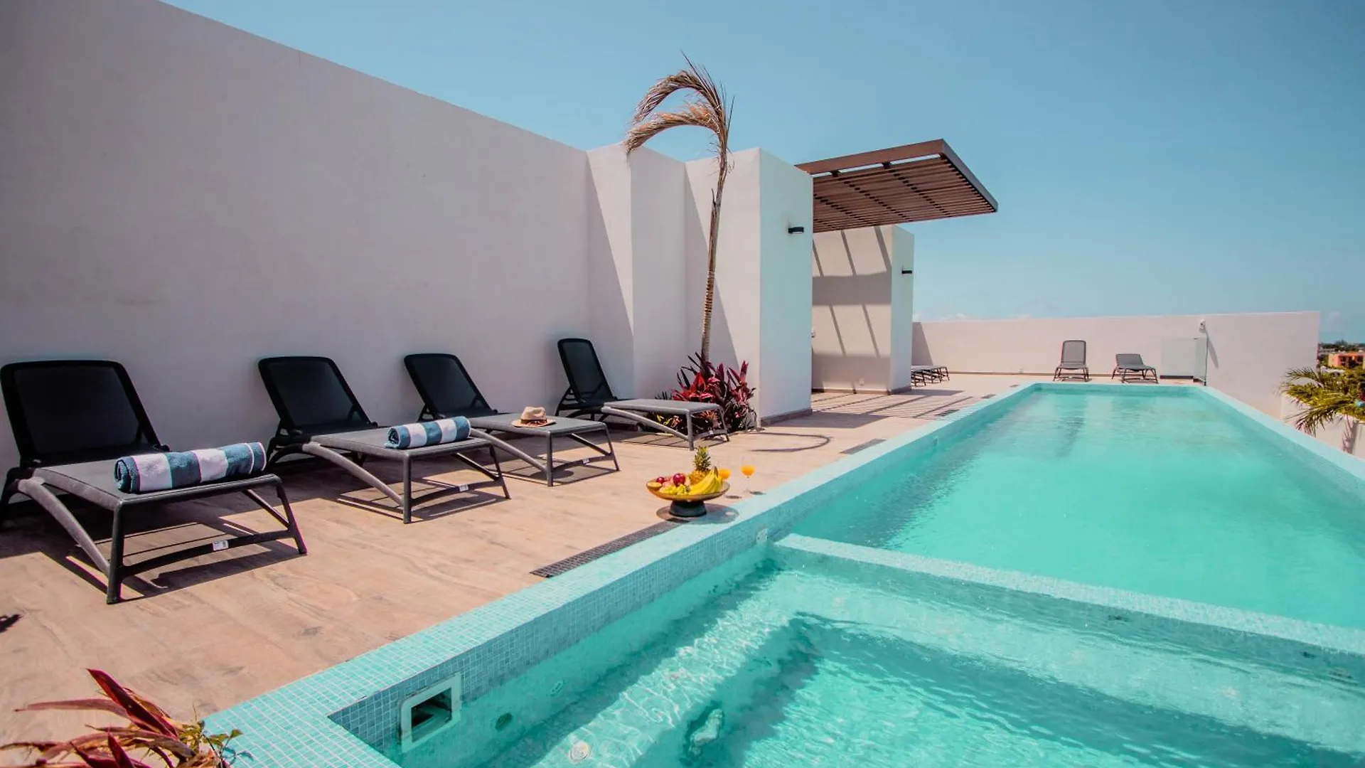 Sensai Downtown Luxury Condo Playa del Carmen Apartment